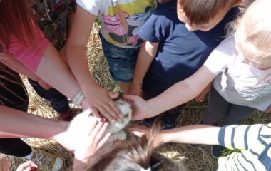 byli jsme se projít sadařovou stezkou - IMG 20230529 101720 380x240